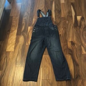 We The Free Ziggy overalls size medium